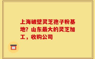 上海破壁灵芝孢子粉基地？山东最大的灵芝加工，收购公司