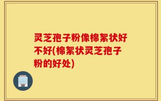 灵芝孢子粉像棉絮状好不好(棉絮状灵芝孢子粉的好处)