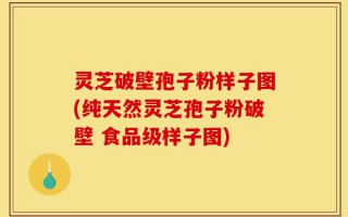 灵芝破壁孢子粉样子图(纯天然灵芝孢子粉破壁 食品级样子图)