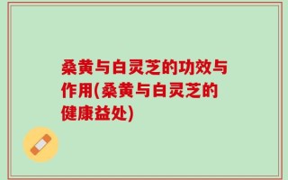 桑黄与白灵芝的功效与作用(桑黄与白灵芝的健康益处)
