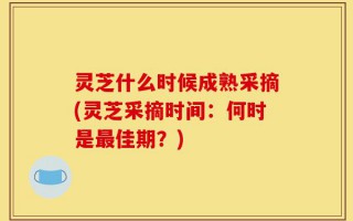 灵芝什么时候成熟采摘(灵芝采摘时间：何时是最佳期？)