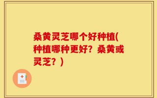 桑黄灵芝哪个好种植(种植哪种更好？桑黄或灵芝？)