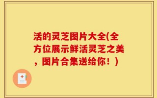 活的灵芝图片大全(全方位展示鲜活灵芝之美，图片合集送给你！)