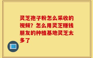 灵芝孢子粉怎么采收的视频？怎么用灵芝赚钱朋友的种植基地灵芝太多了