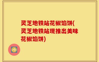 灵芝地铁站花椒馅饼(灵芝地铁站现推出美味花椒馅饼)