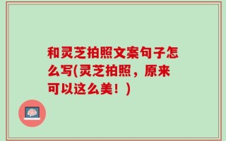 和灵芝拍照文案句子怎么写(灵芝拍照，原来可以这么美！)