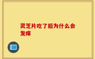 灵芝片吃了后为什么会发痒