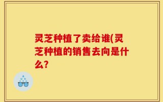 灵芝种植了卖给谁(灵芝种植的销售去向是什么？