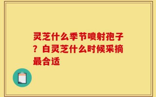 灵芝什么季节喷射孢子？白灵芝什么时候采摘最合适