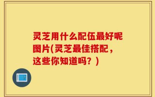 灵芝用什么配伍最好呢图片(灵芝最佳搭配，这些你知道吗？)