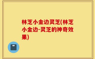 林芝小金边灵芝(林芝小金边-灵芝的神奇效果)