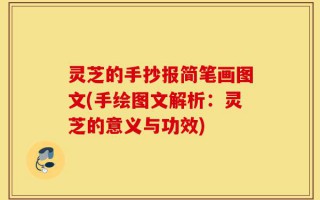 灵芝的手抄报简笔画图文(手绘图文解析：灵芝的意义与功效)