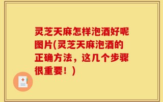 灵芝天麻怎样泡酒好呢图片(灵芝天麻泡酒的正确方法，这几个步骤很重要！)