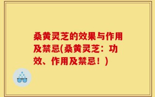 桑黄灵芝的效果与作用及禁忌(桑黄灵芝：功效、作用及禁忌！)