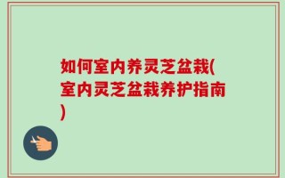 如何室内养灵芝盆栽(室内灵芝盆栽养护指南)