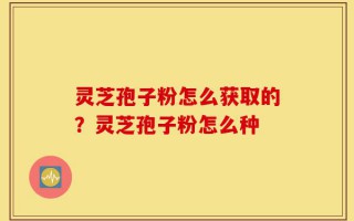 灵芝孢子粉怎么获取的？灵芝孢子粉怎么种