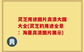 灵芝用途图片高清大图大全(灵芝的用途全景：海量高清图片展示)