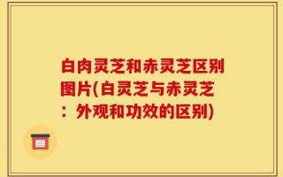 白肉灵芝和赤灵芝区别图片(白灵芝与赤灵芝：外观和功效的区别)
