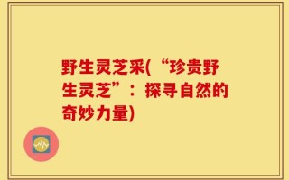 野生灵芝采(“珍贵野生灵芝”：探寻自然的奇妙力量)