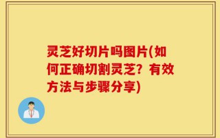 灵芝好切片吗图片(如何正确切割灵芝？有效方法与步骤分享)