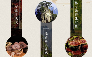 灵芝孢子粉哪个牌子比较好可靠？怎么选？