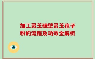 加工灵芝破壁灵芝孢子粉的流程及功效全解析