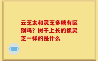云芝太和灵芝多糖有区别吗？树干上长的像灵芝一样的是什么