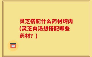 灵芝搭配什么药材炖肉(灵芝肉汤想搭配哪些药材？)