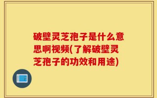 破壁灵芝孢子是什么意思啊视频(了解破壁灵芝孢子的功效和用途)