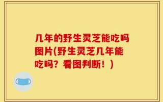 几年的野生灵芝能吃吗图片(野生灵芝几年能吃吗？看图判断！)