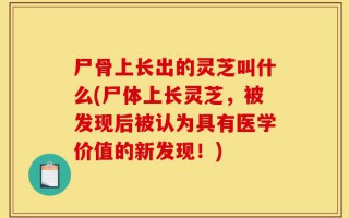 尸骨上长出的灵芝叫什么(尸体上长灵芝，被发现后被认为具有医学价值的新发现！)