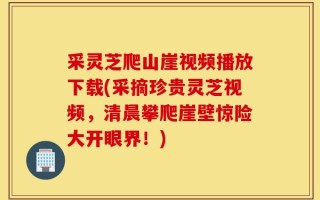 采灵芝爬山崖视频播放下载(采摘珍贵灵芝视频，清晨攀爬崖壁惊险大开眼界！)
