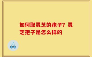 如何取灵芝的孢子？灵芝孢子是怎么样的