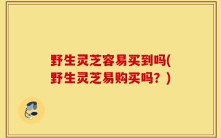 野生灵芝容易买到吗(野生灵芝易购买吗？)