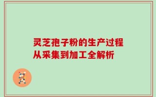 灵芝孢子粉的生产过程从采集到加工全解析