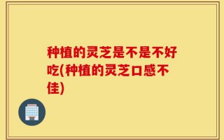 种植的灵芝是不是不好吃(种植的灵芝口感不佳)