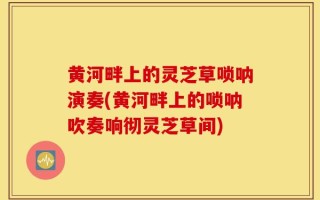 黄河畔上的灵芝草唢呐演奏(黄河畔上的唢呐吹奏响彻灵芝草间)
