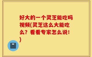 好大的一个灵芝能吃吗视频(灵芝这么大能吃么？看看专家怎么说！)