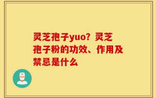 灵芝孢子yuo？灵芝孢子粉的功效、作用及禁忌是什么