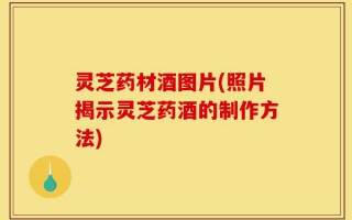 灵芝药材酒图片(照片揭示灵芝药酒的制作方法)