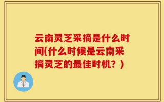 云南灵芝采摘是什么时间(什么时候是云南采摘灵芝的最佳时机？)