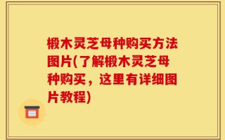 椴木灵芝母种购买方法图片(了解椴木灵芝母种购买，这里有详细图片教程)