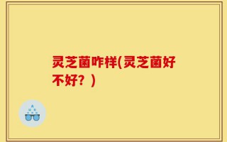 灵芝菌咋样(灵芝菌好不好？)