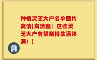 种植灵芝大户名单图片高清(高清图：这些灵芝大户有望赚得盆满钵满！)
