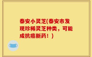 泰安小灵芝(泰安市发现珍稀灵芝种类，可能成抗癌新药！)