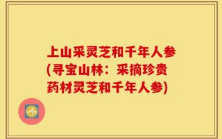 上山采灵芝和千年人参(寻宝山林：采摘珍贵药材灵芝和千年人参)