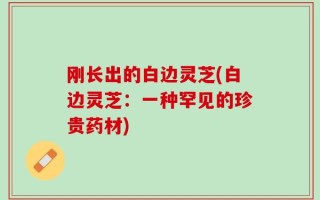 刚长出的白边灵芝(白边灵芝：一种罕见的珍贵药材)