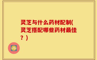 灵芝与什么药材配制(灵芝搭配哪些药材最佳？)
