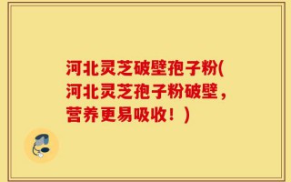 河北灵芝破壁孢子粉(河北灵芝孢子粉破壁，营养更易吸收！)