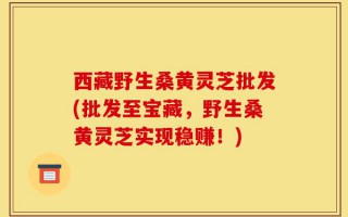西藏野生桑黄灵芝批发(批发至宝藏，野生桑黄灵芝实现稳赚！)